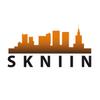 thumbnail for: New SKNIIN logo